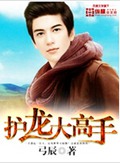 护龙大高手