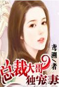 总裁大哥独宠妻