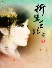 折翼王妃