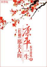 红楼邢夫人的康平一生txt下载