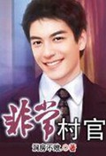 非常村官