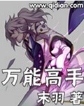 万能高手txt下载