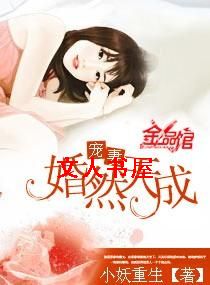 宠妻,婚然天成之番外(琛悠之恋)