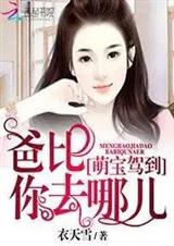萌宝驾到:爸比,你去哪儿txt下载