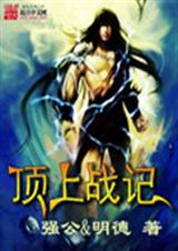 顶上战记txt下载