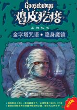 金字塔咒语·隐身魔镜txt下载