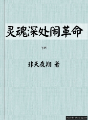 灵魂深处闹革命[盗墓]txt下载