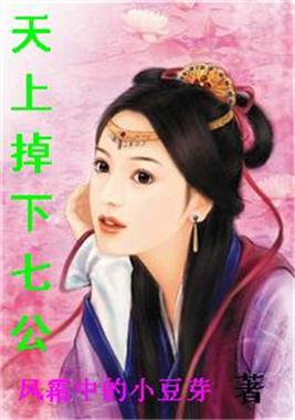 坠落星辰之小七