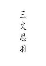王文思羽