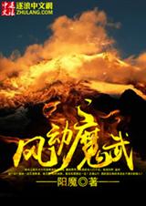 风动魔武txt下载