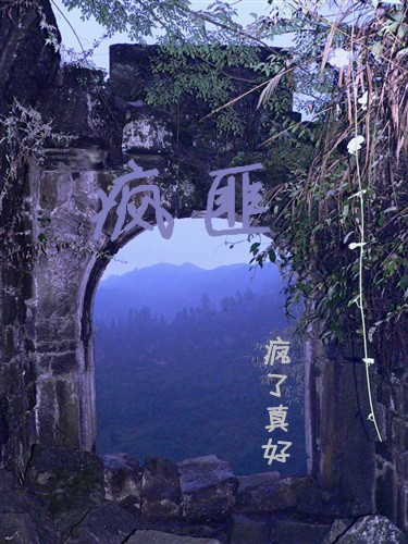 疯匪txt下载