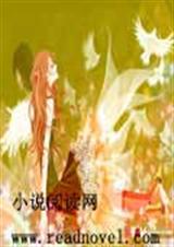 痴情总裁:让眼泪飞txt下载