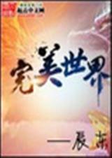完美世界-898 续传