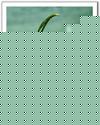 ݺtxt