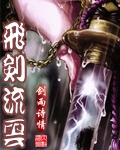 飞剑流云txt下载