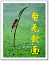 替身老公txt下载