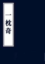 一枕奇