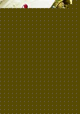  txt