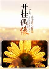 开挂偶像txt下载