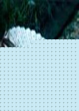 +txt