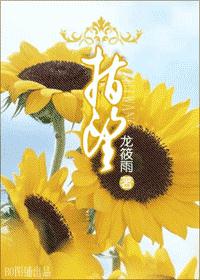 指望txt下载
