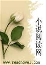妤情嫕言幽梦txt下载
