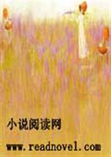 残羽的爱情txt下载