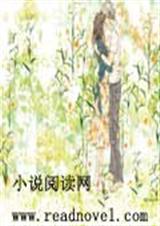 贵族冷公主恋上贵族酷