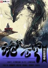 魂武苍穹txt下载
