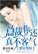 独家婚权,总裁你还真不客气