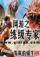网游之练级专家 全集txt下载