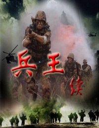 兵王续