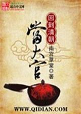 回到清朝当大官txt下载