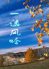 一缕风吟