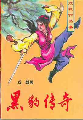 黑豹传奇  武侠小说txt下载