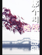 那个叫独战的混蛋