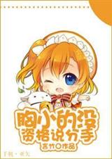 胸小的没资格说分手txt下载