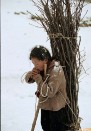 哎呀!这人这社会
