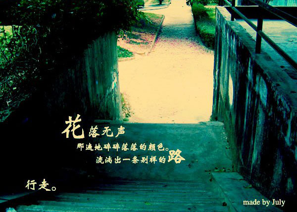 无声花落
