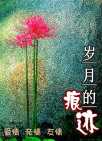 岁月的印记txt下载