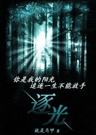 逐光