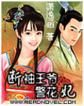 断袖王爷警花妃