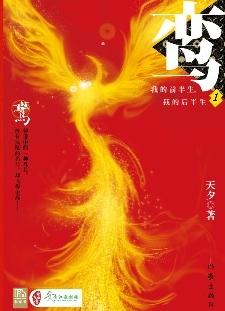 鸾:我的前半生,我的后半生