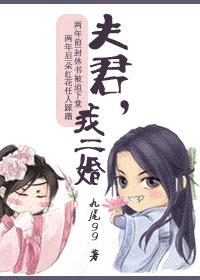夫君,我二婚