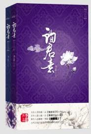 询君意(出书版)