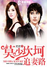 莫少坎坷追妻路