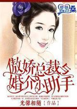 傲娇总裁与婚介小助手