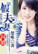 闪婚假夫妻