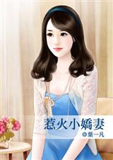 惹火小娇妻