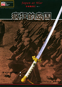 疯狂的岛国txt下载